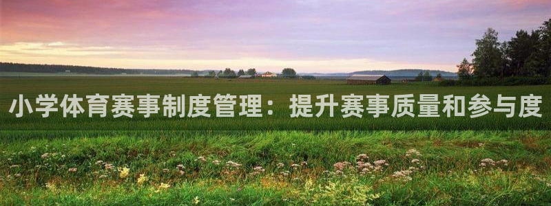 必一体育游戏玩法：小