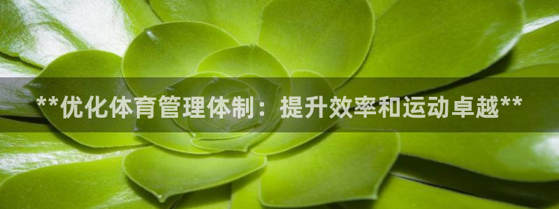 必一体育下载移动版：