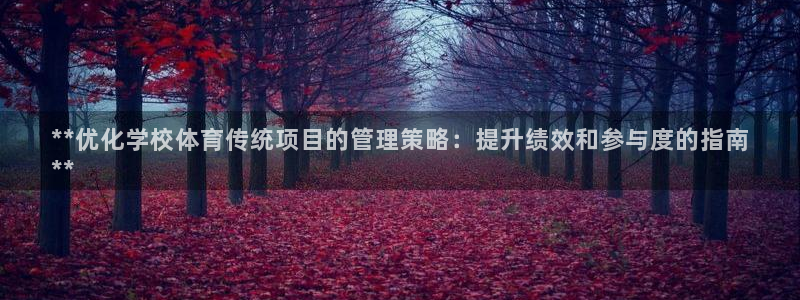 必一体育运动app：