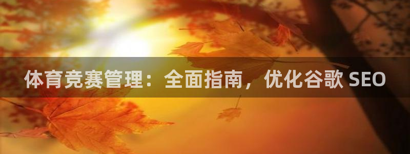 必一体育没了：体育竞