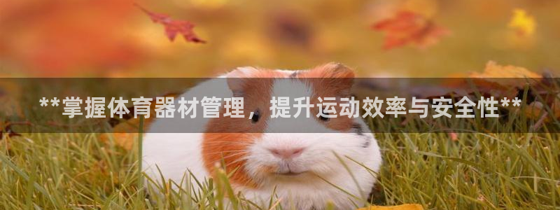 必一体育下载义：**