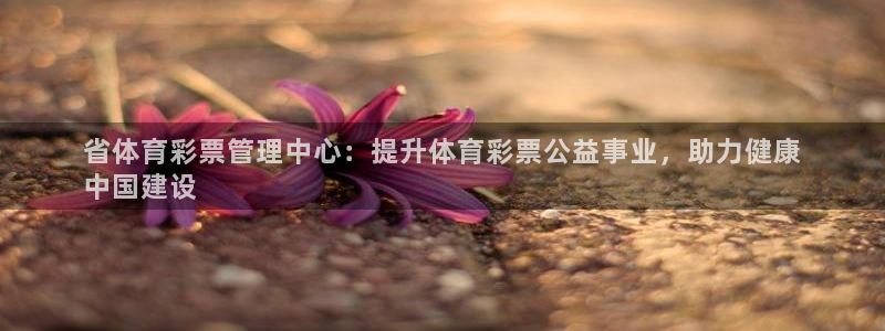 必一体育网页登陆：省