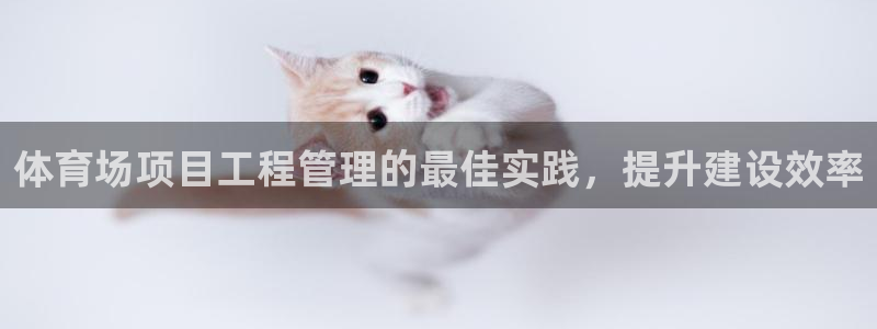 必一体育下载移动版：