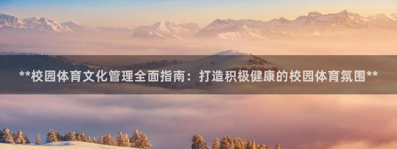 必一体育运动官网：*