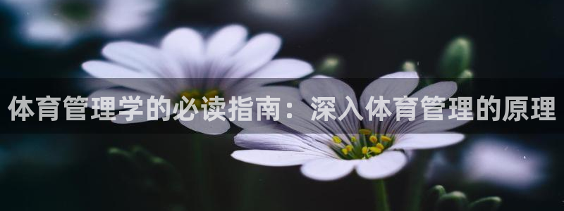 必一体育游戏玩法：体