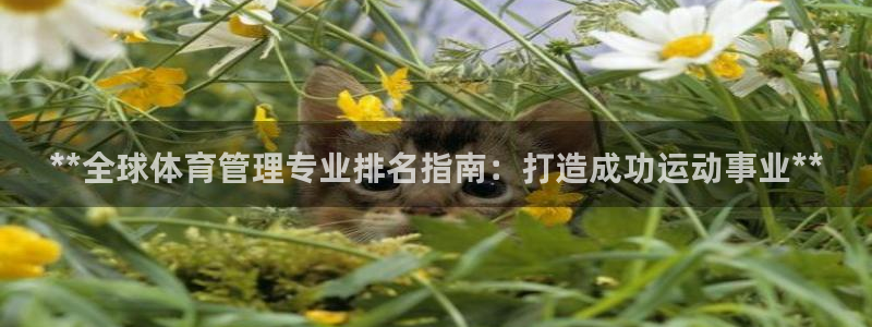 必一运动：**全球体育管理专业排名指南：打造成功运动事业**