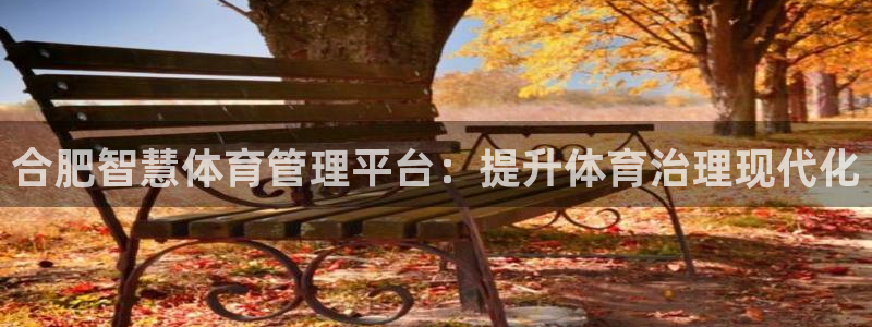 必一体育怎么下载：合