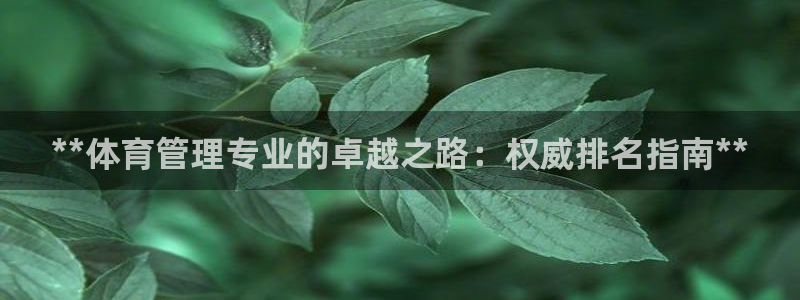 必一运动 b 体育素