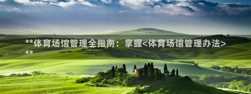 必一体育流水线是什么