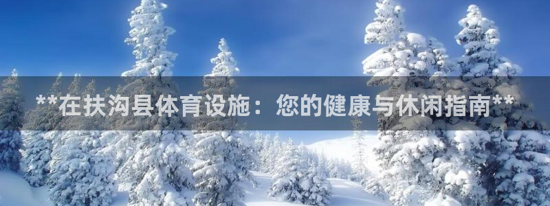 必一体育网站：**在
