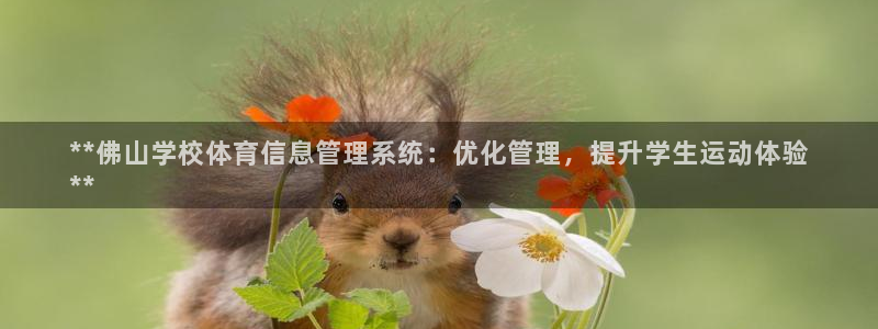 必一体育sport官
