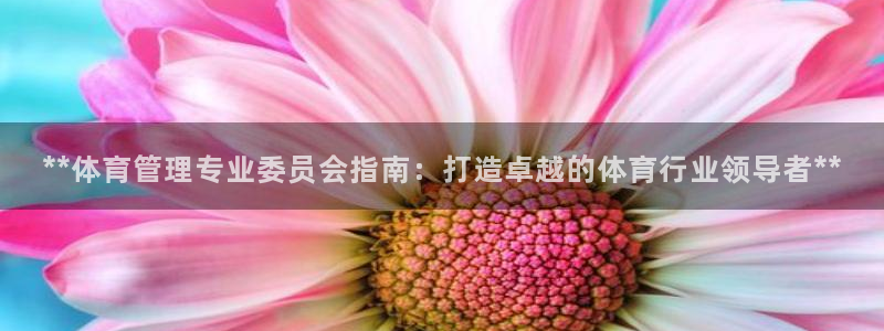 必一运动官网登录入口