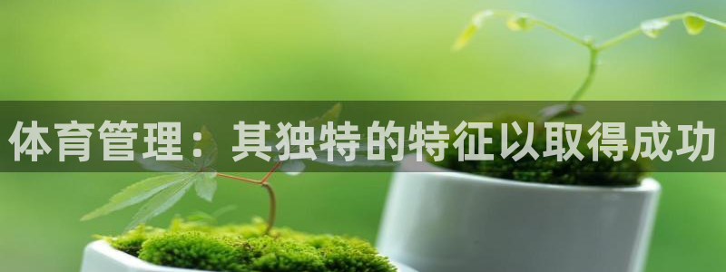 必一体育官网入口：体