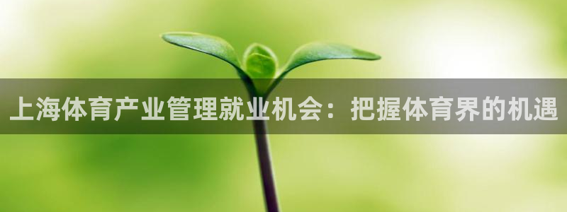 必一体育官方下载：上