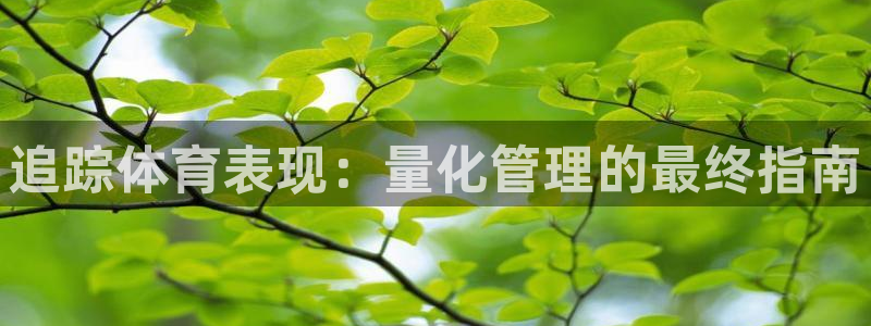 必一运动sport网