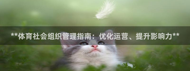 必一体育官方app下