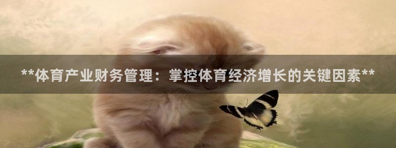 必一体育APP：**