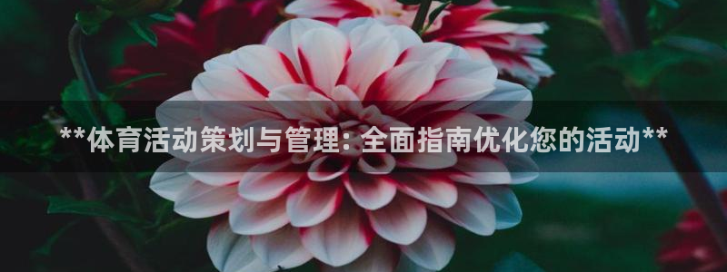 必一体育手机下载：*