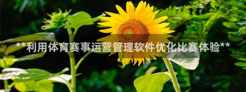 b体育必一下载：**