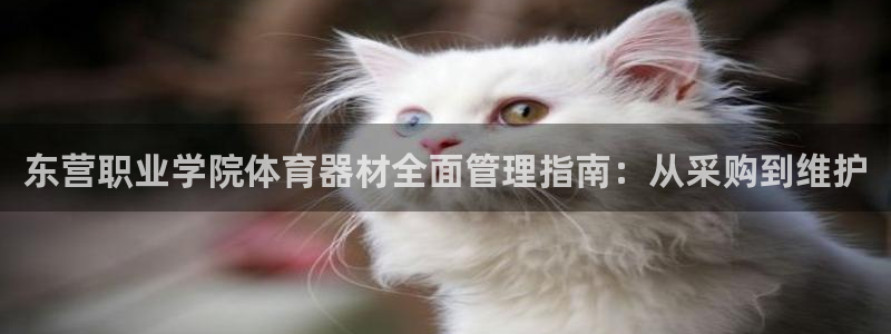 必一体育网站：东营职