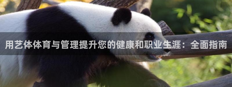必一体育：用艺体体育