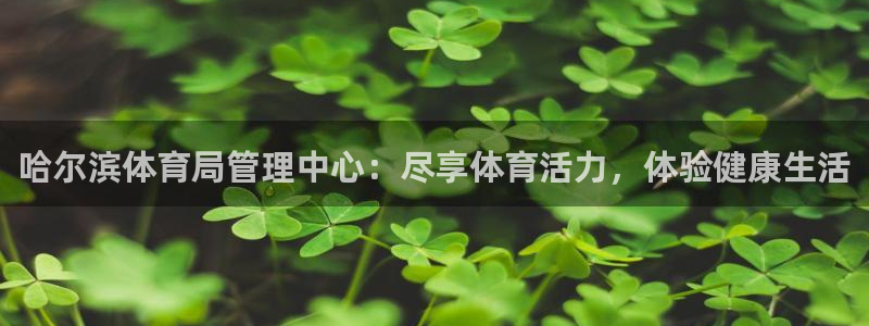 必一体育网页登陆：哈