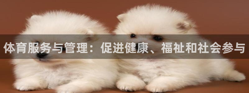 必一体育电子app：