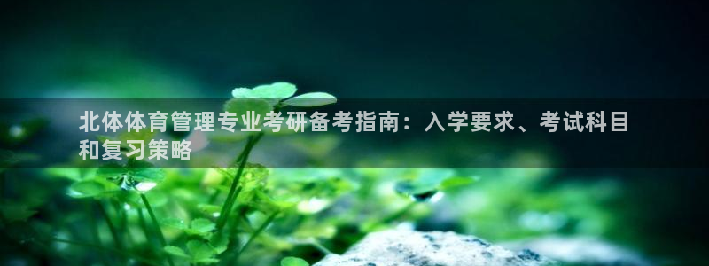必一体育最新官网入口