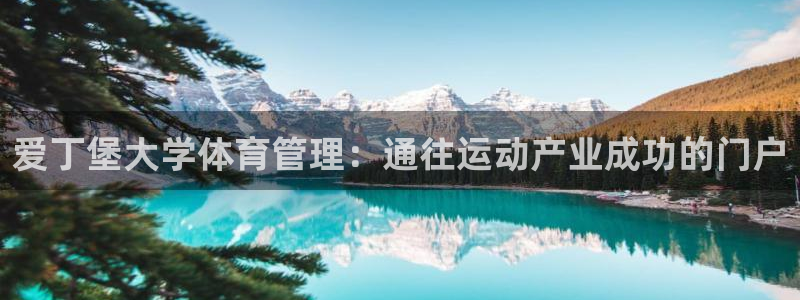 必一体育bsport