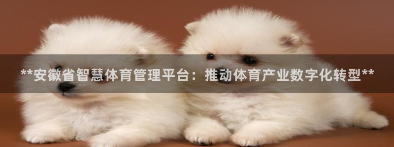 必一体育下载登入：*