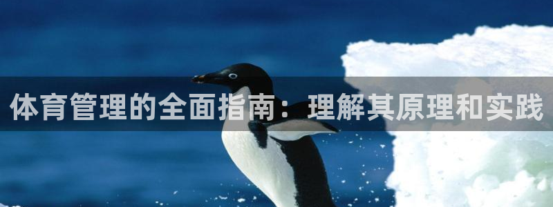 必一体育在线登陆：体