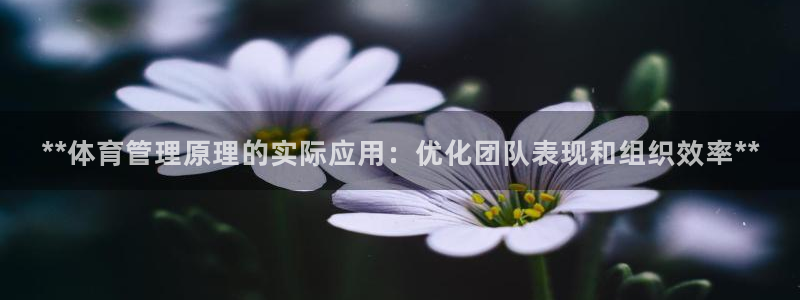 必一运动·(B-sp