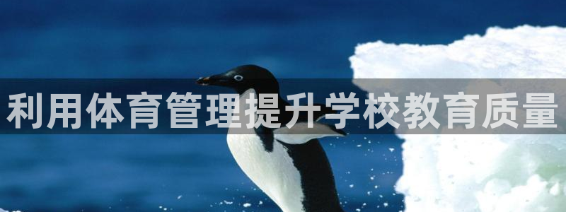 必一体育运动下载：利