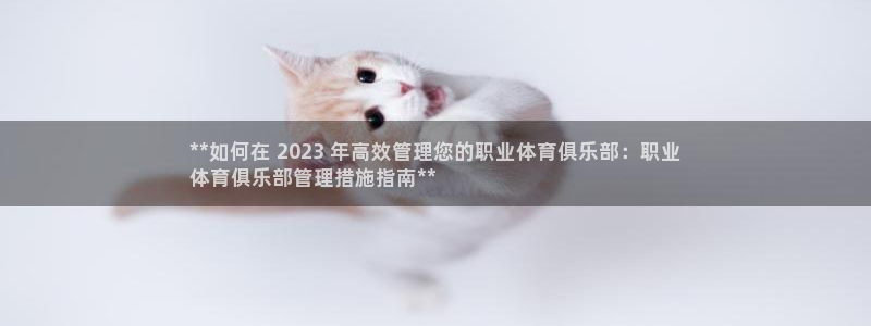 必一体育官方入口：**如何在 2023 年高效管理您的职业体