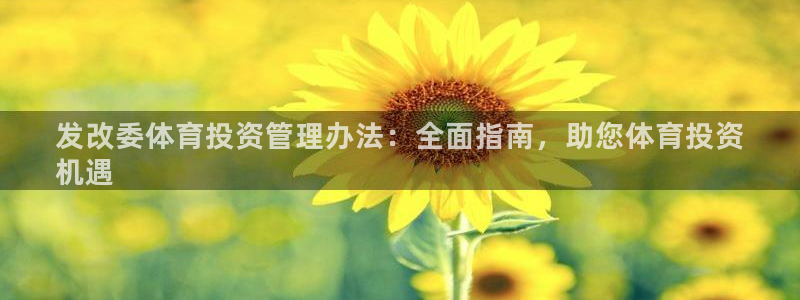 必一体育sport官方网站：发改委体育投资管理办法：全面指南