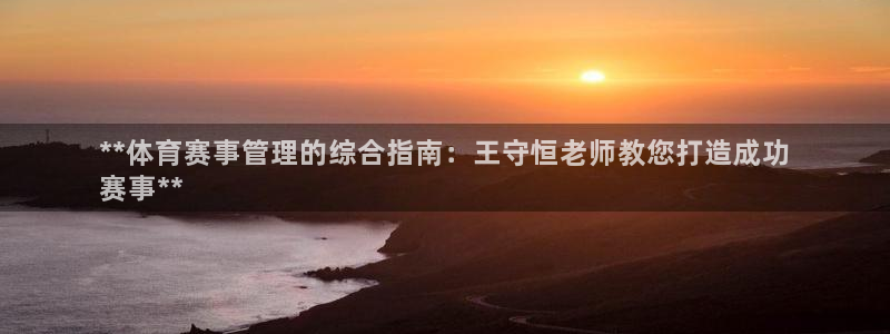 必一体育游戏特色：**体育赛事管理的综合指南：王守恒老师教您