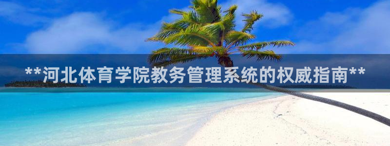 必一体育运动官网：*