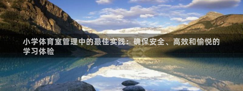 必一体育在线玩：小学