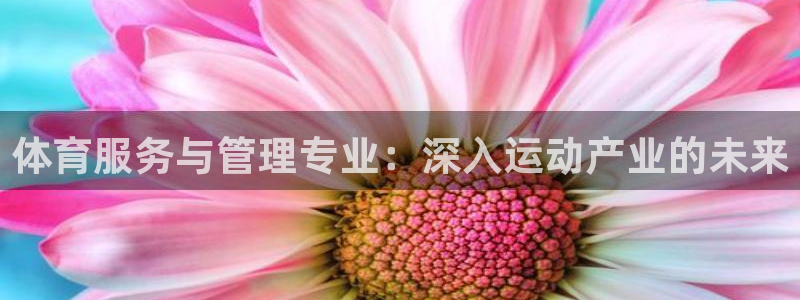 必一体育在线下载：体