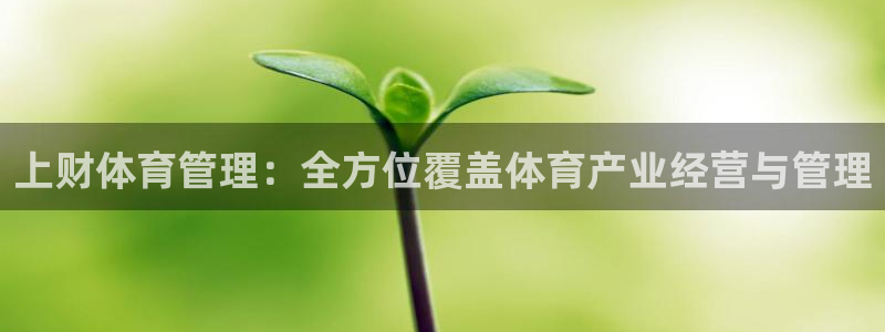 必一体育网页登录版官