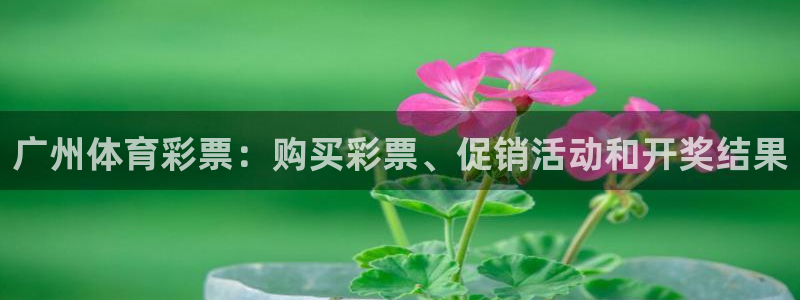 必一体育全站在线登录入口：广州体育彩票：购买彩票、促销活动和