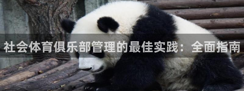 必一体育运动平台官网