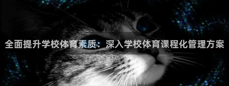 必一体育APP：全面