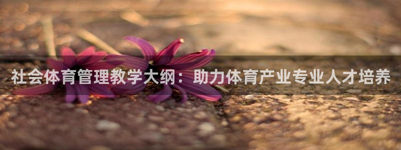 必一体育官方网站入口