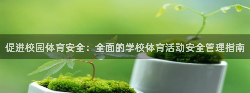 必一体育网页登陆：促