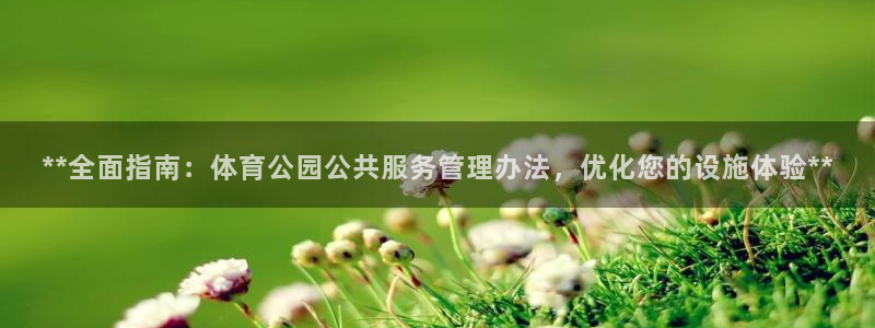 必一体育下载一样吗：