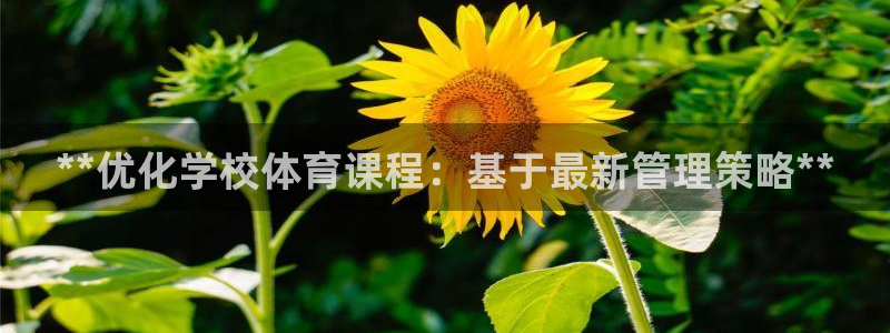 必一体育在线下载：*