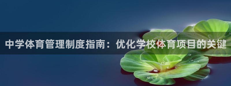 必一体育服下载最新版