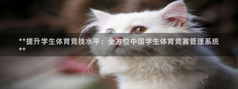 必一体育登入：**提