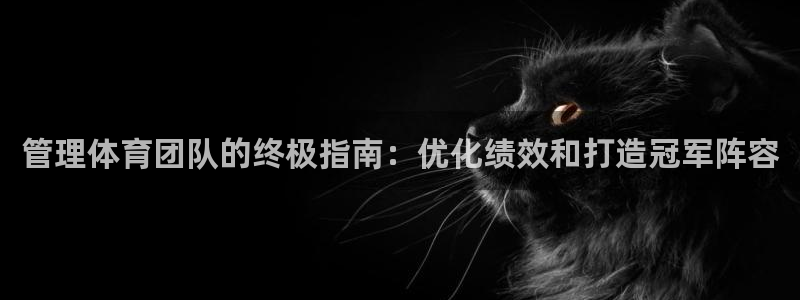 必一体育没了：管理体育团队的终极指南：优化绩效和打造冠军阵容